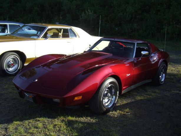 Stingray