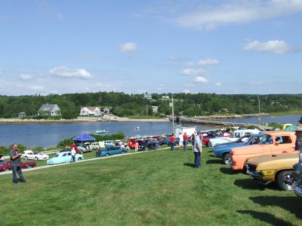 Show Field