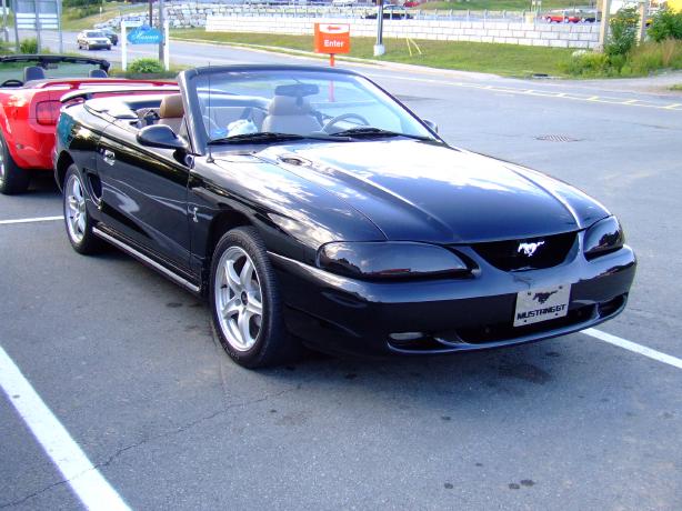 Mustang