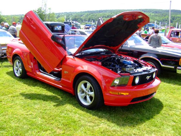 Mustang