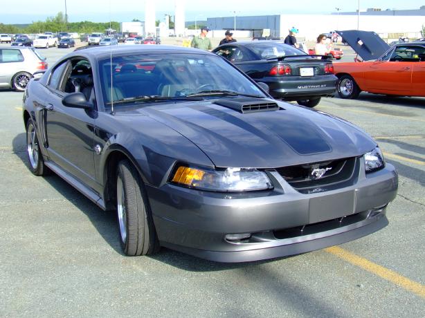 Mustang