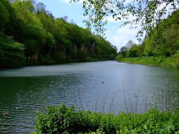 Park