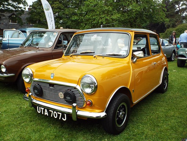 Mini