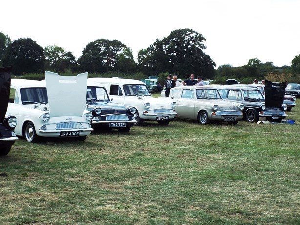 Ford Anglia Vans