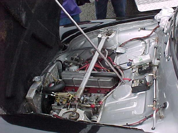 Steve Read - Ford Anglia